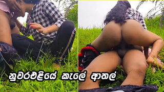 නුවරඑළියේ පට්ටම කැලේ හිකිල්ල Very Fine Sri Lankan Lovers Fuck In Public Park Outdoor & Sperm In MOUTH
